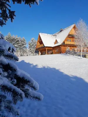a log cabin in the snow with snow covered trees at Mecenasówka in Zawoja