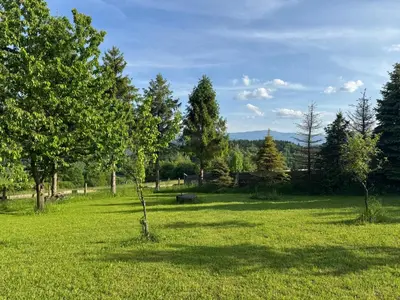 a field of green grass with trees in the background at Mecenasówka in Zawoja