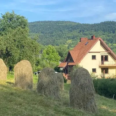 W górach nad strumieniem