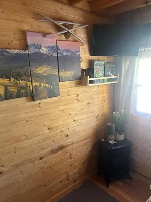 a room with a wooden wall with a ceiling fan at Sosnowy Domek in Zator