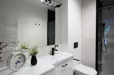 a bathroom with a shower and a toilet and a sink at Malila Premium Apartments Cracow Limanowskiego 37 in Kraków
