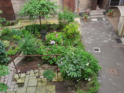 a garden with flowers and plants on a sidewalk at Old Town KRAKÓW STUDIO in Kraków