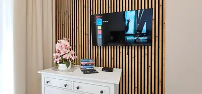 a room with a tv and a table with flowers at Old Town KRAKÓW STUDIO in Kraków