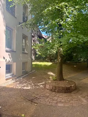 a tree in front of a white building at Vintage Studencka 25 Apartment in Kraków