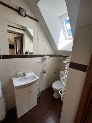 a bathroom with a sink and a toilet with a skylight at Noclegi Pod Lasem in Zubrzyca Górna
