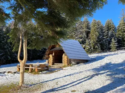 a log cabin in the snow next to a tree at Noclegi Pod Lasem in Zubrzyca Górna