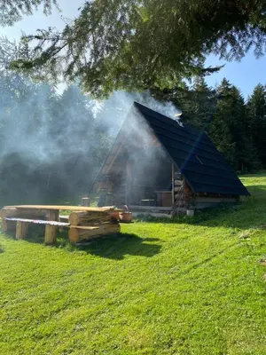 a barn with a black roof in a field at Noclegi Pod Lasem in Zubrzyca Górna