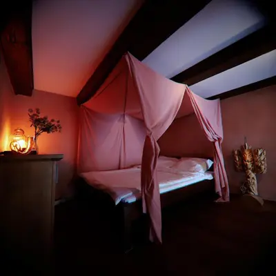 a bedroom with a bed with a mosquito net at Rose & Thyme Artisan Studio in Old Town in Kraków