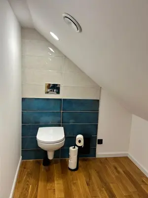 a bathroom with a toilet and blue walls at Rogaty Dworek in Kornatka