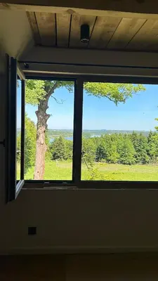 a window with a view of a tree in a field at Rogaty Dworek in Kornatka