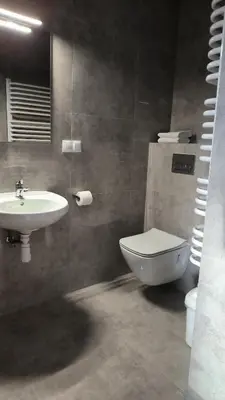 a bathroom with a sink and a toilet at Noclegi Pod Lyskami in Nowy Targ