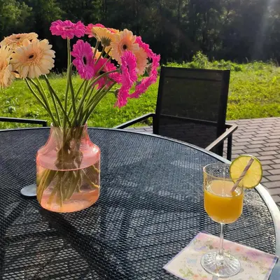 a vase with flowers and a glass of orange juice at Noclegi Pod Lyskami in Nowy Targ
