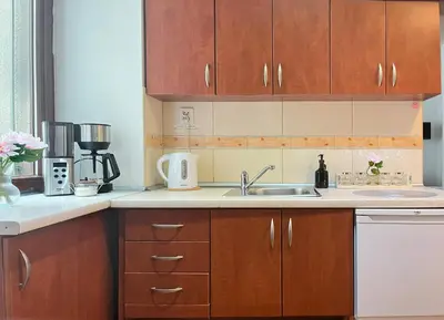 a kitchen counter with a blender and flowers in a vase at Smart Studio for 3 guests 8 min to Main Square in Kraków
