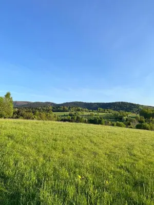 a field of green grass with a blue sky at Bądź blisko in Jurków