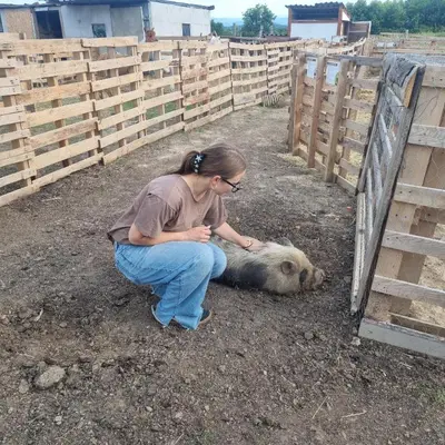 a woman is petting a dog laying on the ground at Uszate Ranczo Malinka in Rybna