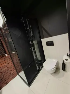 a bathroom with a shower and a toilet at Zabłocie Luxury Apartment WAWELOFTS in Kraków