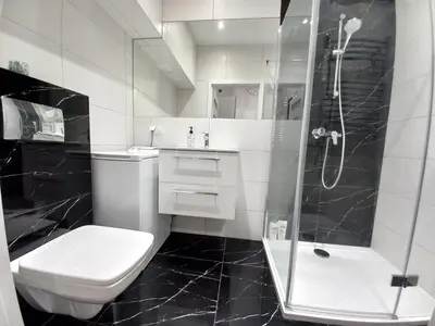a black and white bathroom with a shower and a toilet at Old Town Apt - Lubicz 2b in Kraków