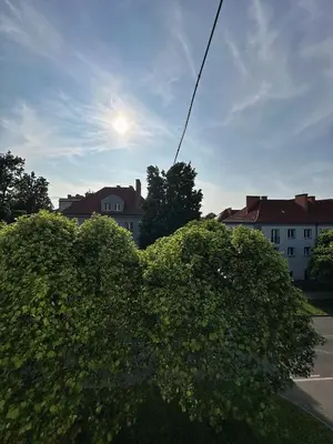 a bush in front of a building with the sun behind it at Apartament Marysia in Oświęcim