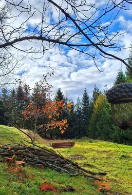 a park bench sitting in a field with trees at Spokojnia Dom Wiejski in Zawoja