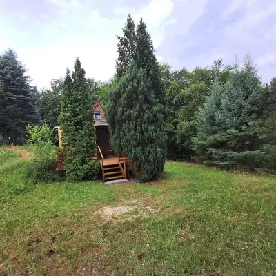 a small cabin in the middle of a field with trees at Przytulny domek na skraju lasu in Tabaszowa