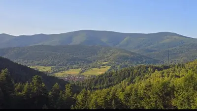 a view of a mountain with trees and a town at Apartament Buldog in Zawoja
