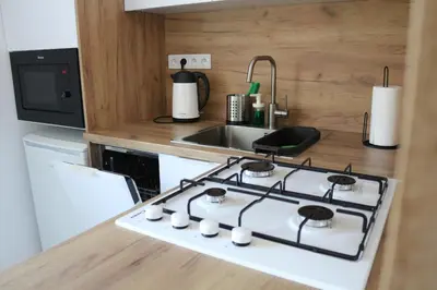 a stove top in a kitchen with a sink at Apartament Żabie Oczko in Zator