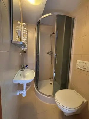 a bathroom with a shower and a toilet and a sink at Nad potokiem in Nowy Targ