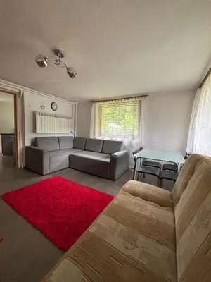 a living room with a couch and a red rug at Nad potokiem in Nowy Targ