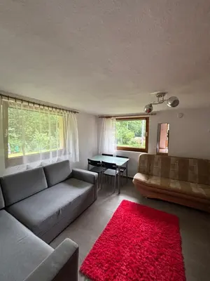 a living room with a couch and a red rug at Nad potokiem in Nowy Targ
