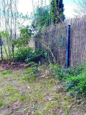 a fence in front of a yard withgrass at Green Garden Oasis in Kraków