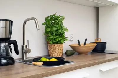 a kitchen counter with a bowl of fruit and a plant at LORETO 3 by Cozyplace in Kraków