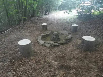 a fire pit in the middle of a forest at Hope Mountain Escape Poland, Awesome Glamping Tent in Szczawa
