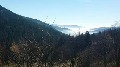 a view of a mountain with trees and a valley at Hope Mountain Escape Poland, Awesome Glamping Tent in Szczawa