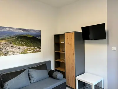 a living room with a couch and a flat screen tv at Apartament w Kocierzu in Kocierz Rychwałdzki
