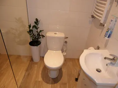 a bathroom with a toilet and a sink at Lawendowy Zakątek in Wadowice