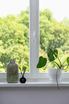 a window with two plants and a vase on a window sill at Studio apartment - 65 Długa Street in Kraków