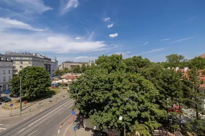 a large tree in the middle of a street at Studio apartment - 65 Długa Street in Kraków