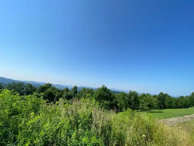 a field with grass and trees in the background at Julianowe Wzgórze in Czchów