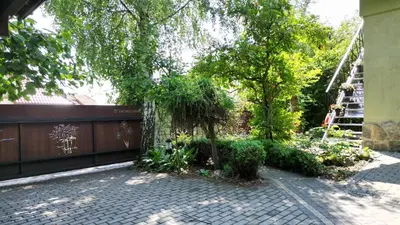 a garden with a tree and stairs in the background at Apartament 294 W Cieniu Drzew by BookingHost in Giebułtów