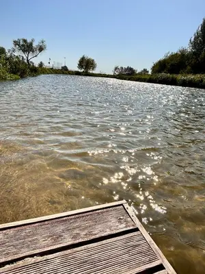 a body of water with a wooden dock at Domki nad Nidą in Wiślica