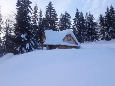 a cabin covered in snow with trees in the background at Terenowka Bacowka in Waksmund