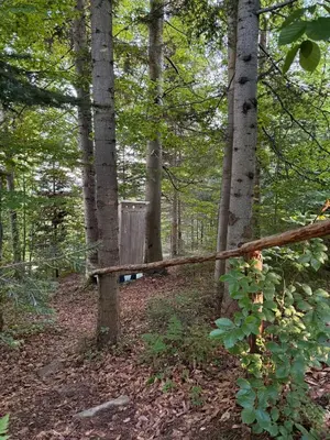 a wooden fence in the woods with trees at Terenowka Bacowka in Waksmund
