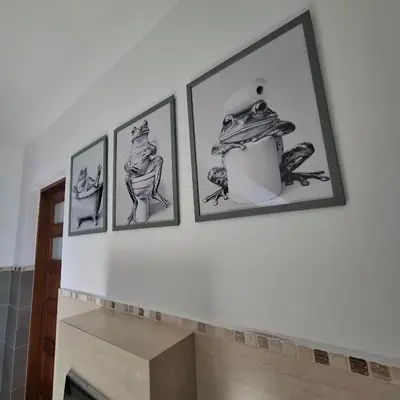 four drawings of a frog on a wall at Apartamenty TUTERRA III in Zabagnie