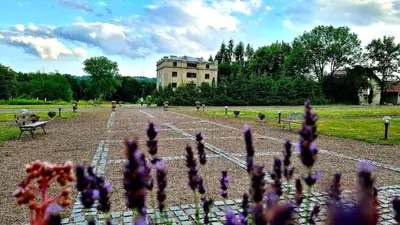 a field of purple flowers in front of a building at Zielona Paszkówka - sauna! in Paszkówka
