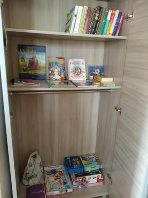 a book shelf filled with childrens books at Słoneczne apartamenty Zator blisko Energylandii in Zator