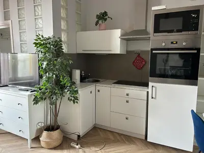 a kitchen with white cabinets and a plant in it at Nowy Kleparz Apt in Kraków