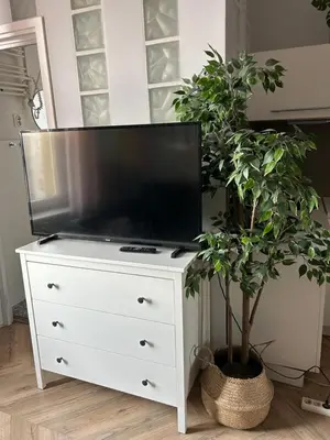 a tv on a white dresser with a potted plant at Nowy Kleparz Apt in Kraków