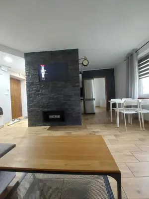 a living room with a fireplace with a tv on a stone wall at Sunny Family Zator Energylandia in Zator