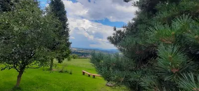 a park bench in the middle of a field with trees at Domek pod Skiełkiem in Łukowica