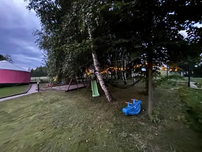 a tree with a blue bag on the ground under it at Brzozowy Zagajnik in Inwałd